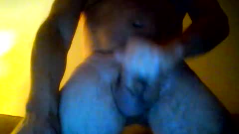 Snapshot of maestro_0069 chatting on March 2026 04:51:01 AM bobcobb online show from March 2026 04:51:01 AM