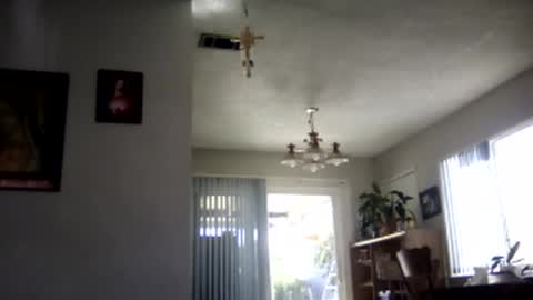 magdalena_805 online show from February 2025 09:48:01 PM