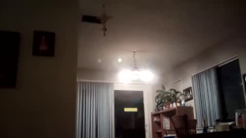 magdalena_805 online show from February 2025 02:06:02 AM