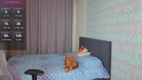 Merry online show from November 2025 01:04:02 AM