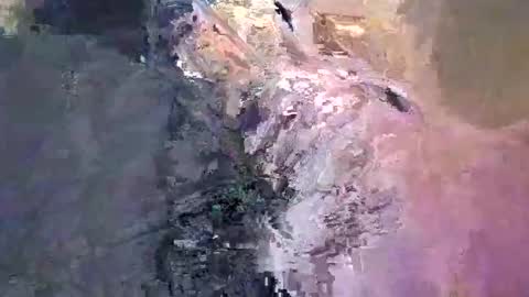 maho0 online show from December 2024 07:36:02 AM