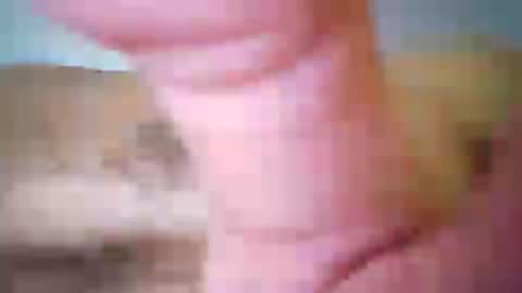 maho0 online show from July 2026 01:06:02 PM