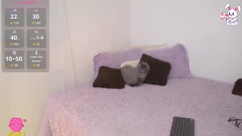 Snapshot of maiaa_evans chatting on March 2026 02:17:01 AM t online show from March 2026 02:17:01 AM