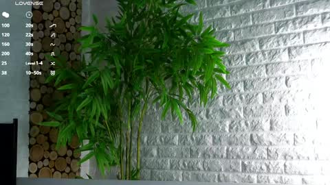 Snapshot of maidabuoy chatting on April 2026 02:11:02 AM Lucy online show from April 2026 02:11:02 AM