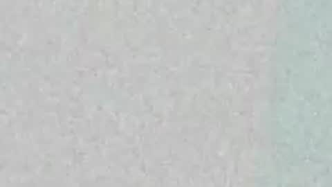 Bella online show from May 2026 02:22:01 PM