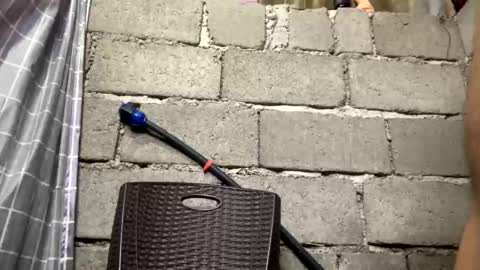 Tinaj online show from March 2026 08:31:01 AM