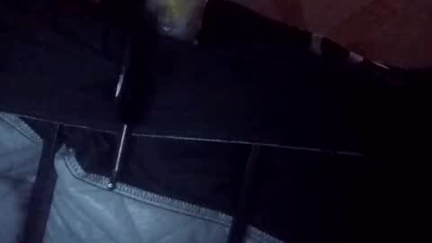 Snapshot of makeunumb88 chatting on March 2026 06:51:02 AM makeunumb88 online show from March 2026 06:51:02 AM