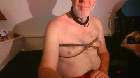Snapshot of malebdsmslut chatting on February 2025 08:21:02 AM CommandbondageNipples bondage kink submissive lovense slave wgear. modequiethvyBondage If Password goldfish online show from February 2025 08:21:02 AM