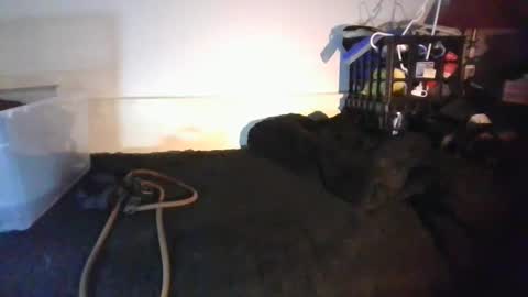 CommandbondageNipples bondage kink submissive lovense slave wgear. modequiethvyBondage If Password goldfish online show from January 2026 08:18:01 AM