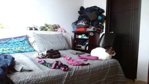 Snapshot of malitamuymal22 chatting on April 2026 04:19:02 PM Malita online show from April 2026 04:19:02 PM