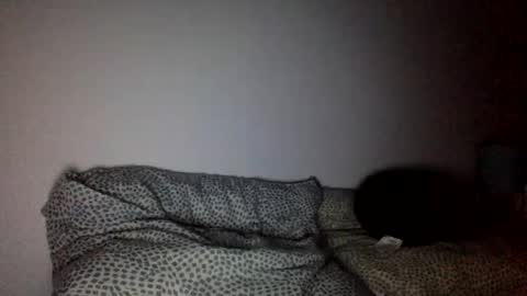 Snapshot of mamattv chatting on February 2025 07:20:01 AM mamattv online show from February 2025 07:20:01 AM