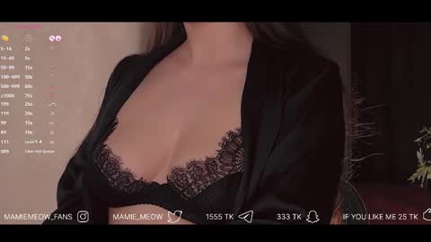 Snapshot of mamiemeow chatting on February 2025 04:58:01 PM Your Miss Alice online show from February 2025 04:58:01 PM