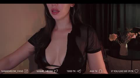 Snapshot of mamiemeow chatting on June 2026 05:23:01 AM Your Miss Alice online show from June 2026 05:23:01 AM