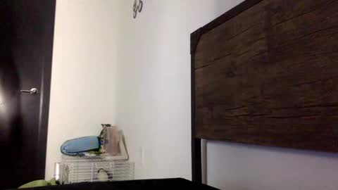 Snapshot of mandingoomann5 chatting on February 2026 05:11:02 AM MandingooMann online show from February 2026 05:11:02 AM