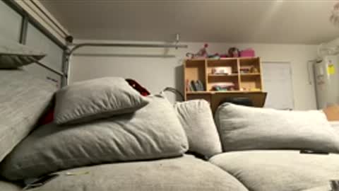 Snapshot of mandingoomann5 chatting on April 2026 07:29:01 AM MandingooMann online show from April 2026 07:29:01 AM