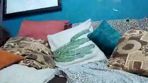 mandrilo7379 online show from June 2026 06:32:02 AM