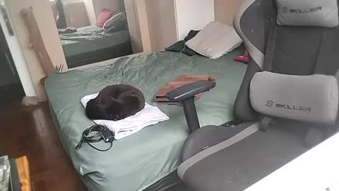 Snapshot of mandymel chatting on February 2025 12:50:01 PM Muw online show from February 2025 12:50:01 PM