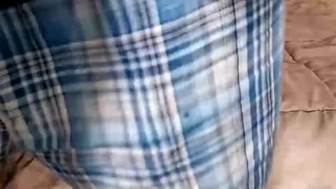 Snapshot of manlymanson chatting on September 2025 09:47:02 PM Dickinabox online show from September 2025 09:47:02 PM