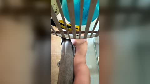 Snapshot of manny764065 chatting on February 2026 01:26:01 PM manny764065 online show from February 2026 01:26:01 PM