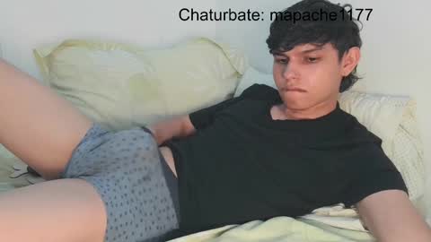 Snapshot of mapache1177 chatting on April 2026 12:54:02 AM mapache1177 online show from April 2026 12:54:02 AM