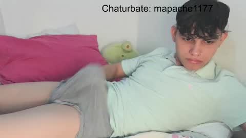 Snapshot of mapache1177 chatting on April 2026 11:18:01 PM mapache1177 online show from April 2026 11:18:01 PM