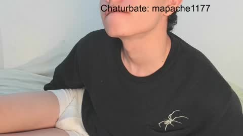 Snapshot of mapache1177 chatting on May 2026 03:18:01 PM mapache1177 online show from May 2026 03:18:01 PM