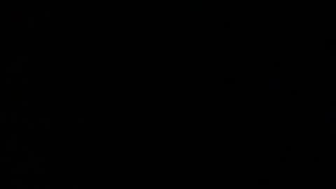 Elle online show from November 2025 05:01:01 PM