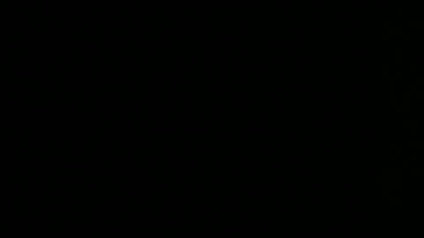 Elle online show from March 2026 02:11:02 PM