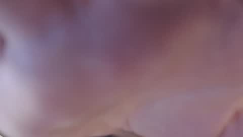 Snapshot of maria_lisica chatting on January 2025 10:11:02 AM Mari online show from January 2025 10:11:02 AM