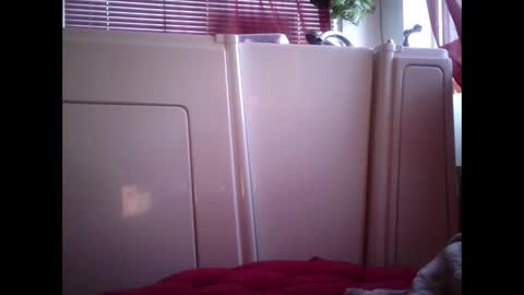 MariahJade95 online show from February 2025 02:54:01 PM