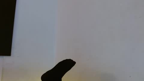 Mariam Calad online show from December 2024 09:17:02 AM