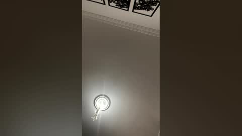 Mar y online show from February 2026 02:27:02 PM