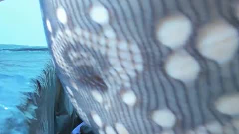 Snapshot of marilynwett chatting on March 2026 01:54:02 AM marilynwett online show from March 2026 01:54:02 AM