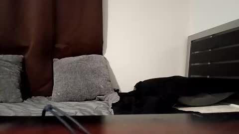 Snapshot of markbwcusmc chatting on January 2026 02:10:01 PM markbwcusmc online show from January 2026 02:10:01 PM