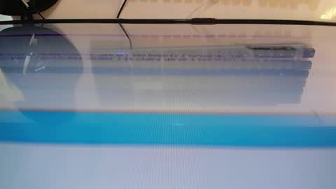 Marlin  online show from February 2025 09:53:02 AM