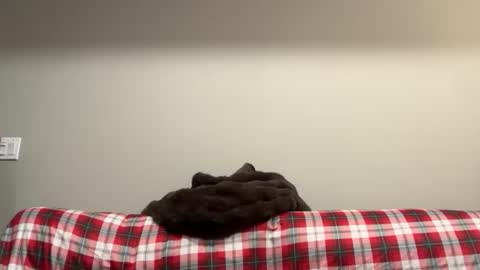 Snapshot of marlongotcake chatting on March 2026 07:10:01 AM Marlongotcake online show from March 2026 07:10:01 AM