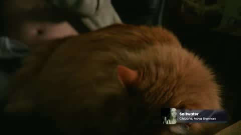 Snapshot of marnieccc chatting on February 2026 04:35:01 AM marnieccc online show from February 2026 04:35:01 AM