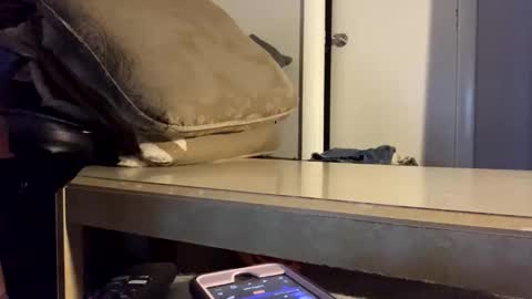 martasub online show from December 2025 04:11:01 PM