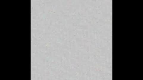   online show from October 2025 11:54:01 AM