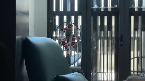 Snapshot of marygi chatting on March 2026 05:24:01 AM Telegram - FlyingDutchmana online show from March 2026 05:24:01 AM