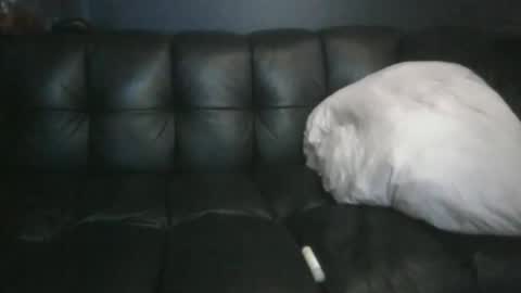 Masc39 online show from April 2026 12:37:02 AM