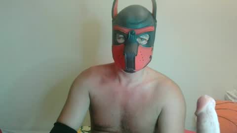 Snapshot of maskpor2022 chatting on August 2026 09:57:01 PM MaskPor2022 online show from August 2026 09:57:01 PM