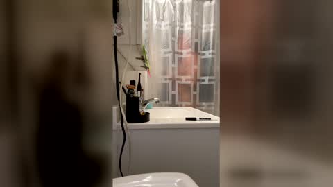 HappyZending online show from January 2026 11:19:01 PM