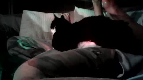 Snapshot of mastrdebator chatting on November 2025 09:59:01 PM mastrdebator online show from November 2025 09:59:01 PM