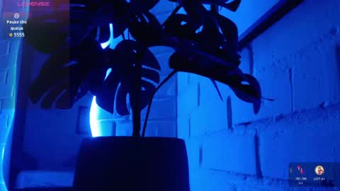 MATEO HUNTER online show from April 2026 06:20:02 AM