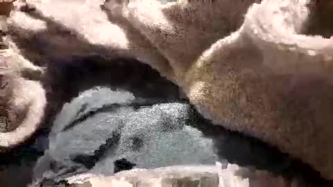 mattca80 online show from October 2025 02:50:02 AM