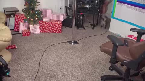 Matt Cash online show from December 2024 02:12:02 AM