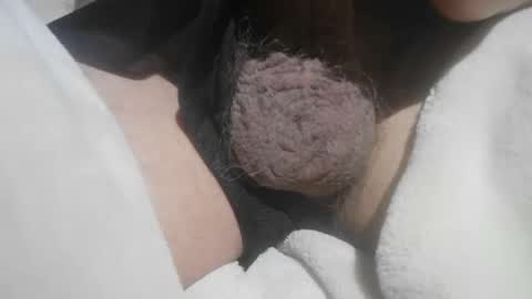 Hairy Bud online show from May 2026 06:04:02 PM