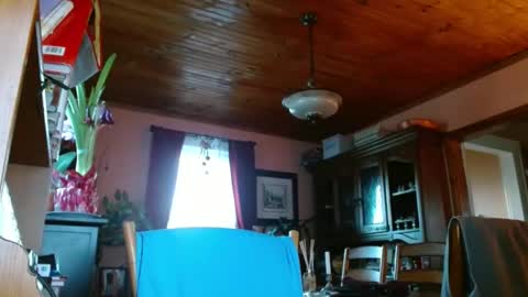 Snapshot of mauriceandre chatting on January 2025 12:47:02 PM Maurice online show from January 2025 12:47:02 PM