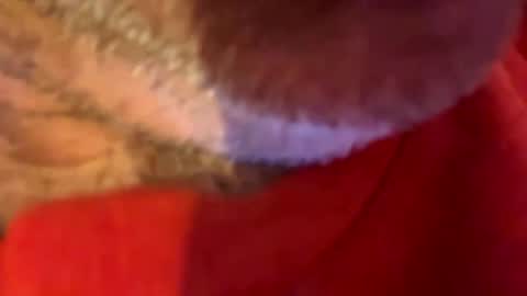 Snapshot of maverick7000 chatting on October 2025 08:59:01 AM maverick7000 online show from October 2025 08:59:01 AM